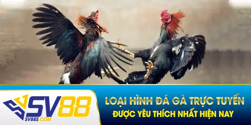 Có 2 loại hình đá gà trực tuyến được giới cược thủ yêu thích nhất hiện nay