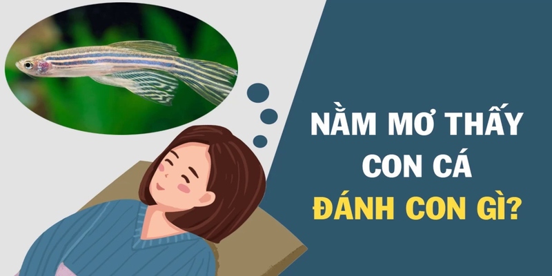 Mơ thấy đang ăn cá thì bị mắc xương