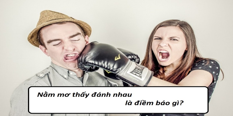 mơ thấy đánh nhau đánh con gi