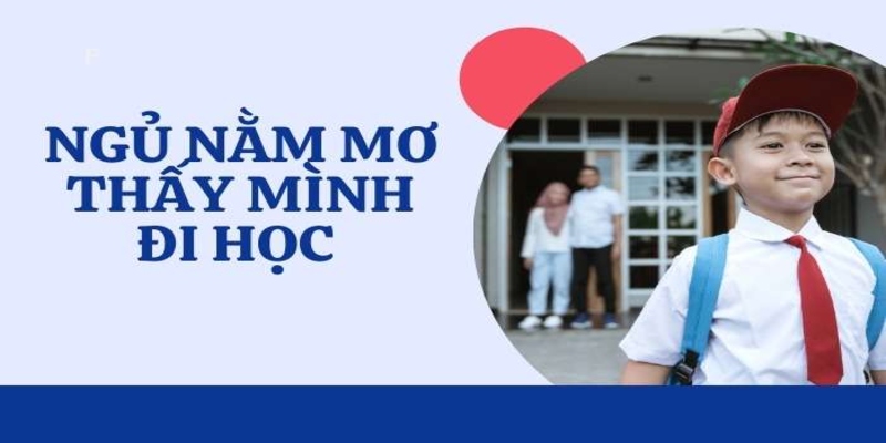 mơ thấy đi học đánh con gì