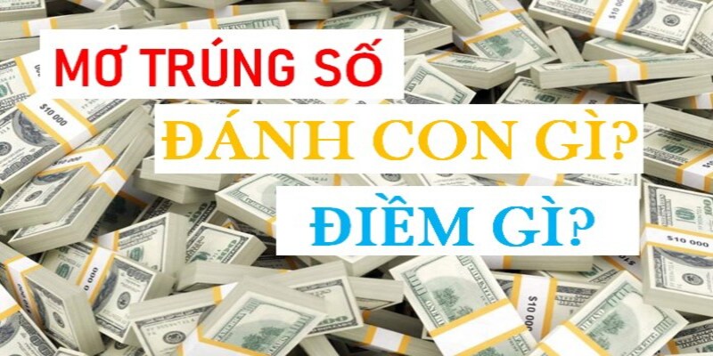 Những Điềm Báo Xoay Quanh Hiện Tượng Mơ Thấy Trúng Số